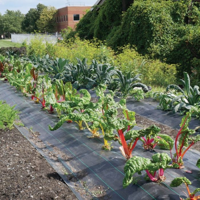 Ground Cover for Gardens - Corkums Pipe & Culvert Online